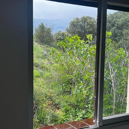 Apartaments La Pertusa 2O Corca  ภายนอก รูปภาพ
