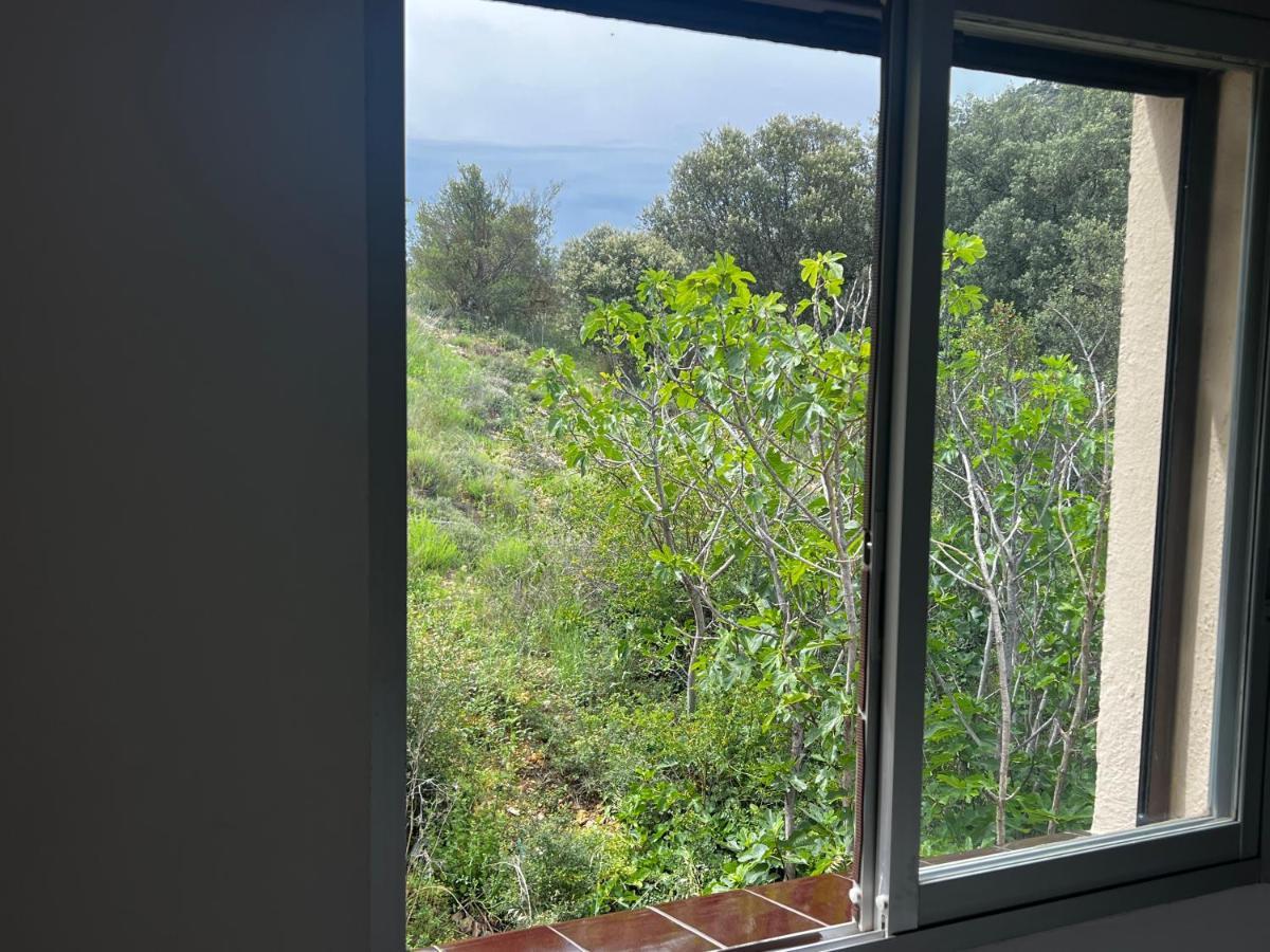 Apartaments La Pertusa 2O Corca  ภายนอก รูปภาพ